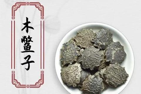 木鳖子功效与作用解析-药用价值及临床应用探讨