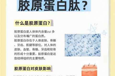 水解胶原蛋白的多维功效：保湿_修复_抗衰作用探析