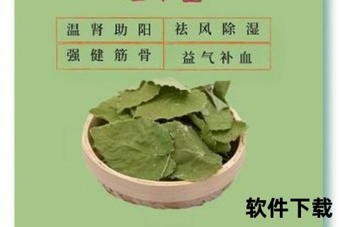 淫羊藿副作用详解：禁忌人群与长期服用风险警示
