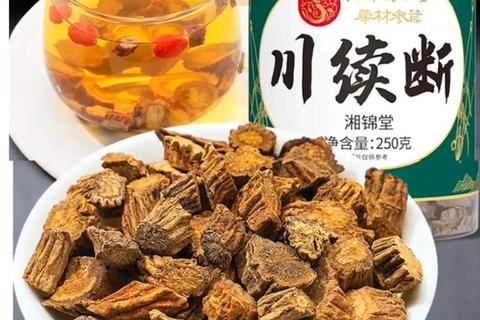 续断功效与作用详解：补肝肾强筋骨及临床应用解析