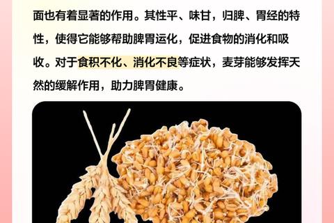 生麦芽功效与作用解析：健胃消食_疏肝理气_回乳抗氧化