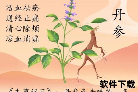 复方丹参片高清细节图_中药成分与心血管保健功效展示