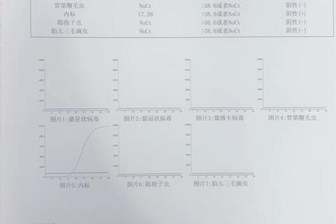 结肠炎用药指南:科学选药原则与规范治疗解析 结肠炎用药指南:科学选药原则与规范治疗解析