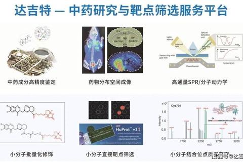 复方葛根片_多靶点药理作用与临床应用研究进展