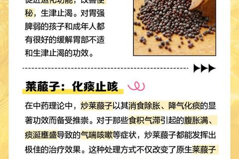 炒莱菔子功效解析-中医视角下的健康作用与食用价值