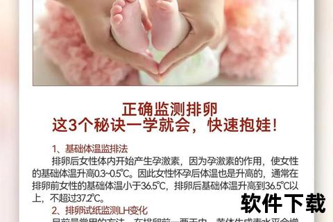 排卵监测与判断方法解析-科学识别有无排卵的关键技巧