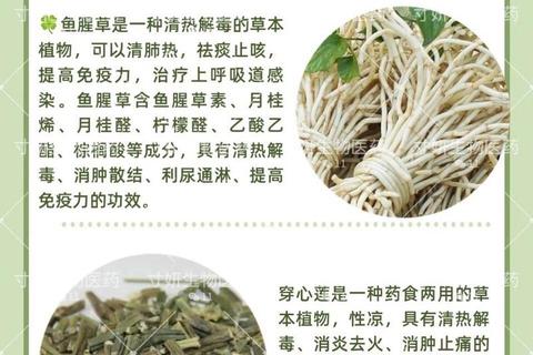 妇科炎症最快用药指南：对症选药及恢复建议