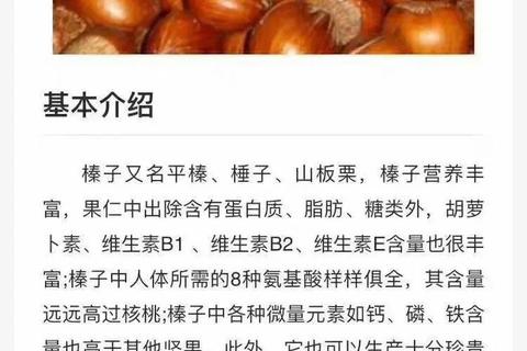 榛子功效与作用解析：营养价值和健康益处全知道