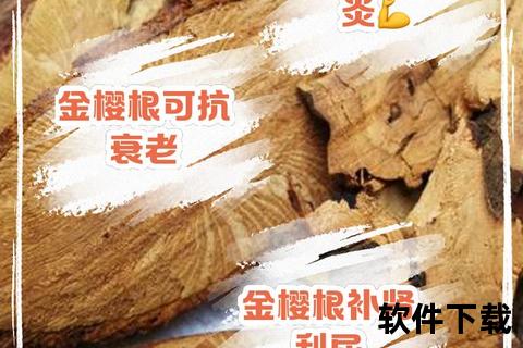 金樱根功效与作用解析:药用价值及健康应用指南