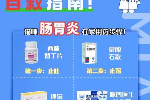 肠胃发炎如何选择消炎药_安全用药指南与饮食调理建议