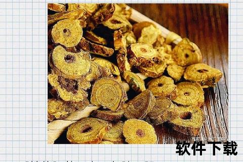 黄芩核心功效解析：清热燥湿-泻火解毒及止血安胎作用