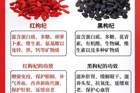 枸杞子功效详解：滋补肝肾_明目抗衰及免疫调节作用
