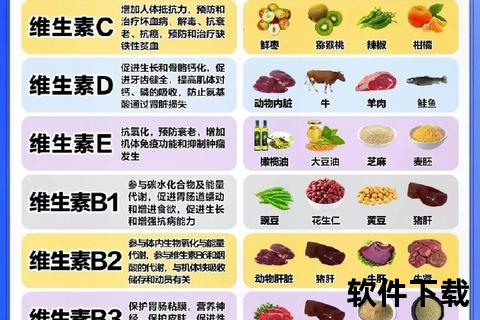 蛋白质与维生素C的黄金组合：营养协同与健康提升指南