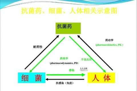 炎药物治疗策略优化-临床合理用药及研究进展