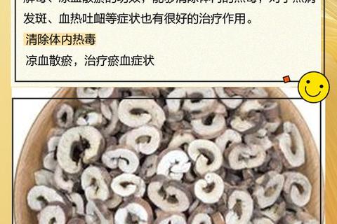 丹皮功效与作用解析：清热凉血_活血化瘀_抗菌消炎功效详解