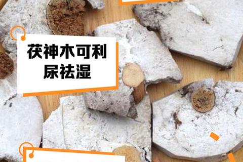 茯神功效解析：镇静安神与健脾利尿的中医妙用