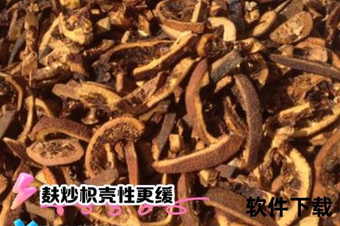 炒枳实功效与作用解析-疏肝理气及消化系统调理探要