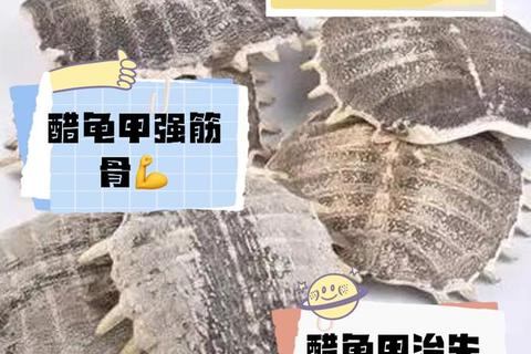醋鳖甲的功效与作用解析：滋阴潜阳_软坚散结的中药应用