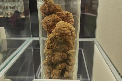 紫河车胶囊：探索传统中药与现代健康管理的创新融合之道