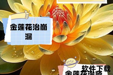 金莲花功效解析：清热解毒_抗菌消炎与免疫调节作用详解