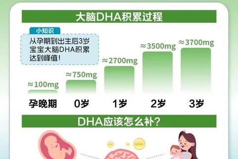 DHA核心作用解析：促进脑发育_提升视力健康_维护心脑功能