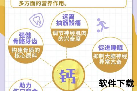 铁锌钙：解析三大矿物质的核心作用与健康关联