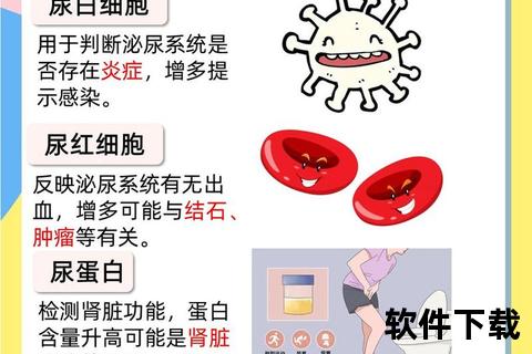 妇科尿液检测:临床应用_疾病诊断与最新研究进展