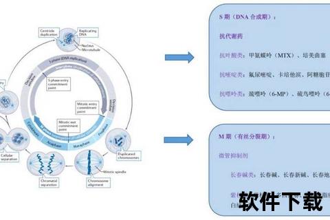 复方颠茄_药理机制与临床应用研究新进展