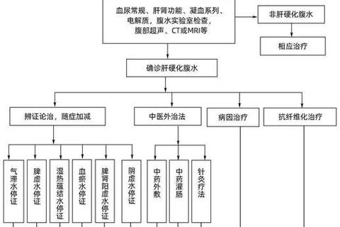 肝硬化临床用药优化策略：安全性与疗效评估指南