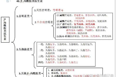 阿莫西林抗菌机制解析-β内酰胺类药物的药效动力学研究