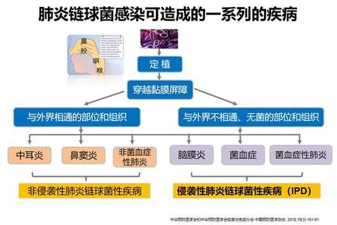 妇科球菌感染原因解析：致病机制与预防措施探讨