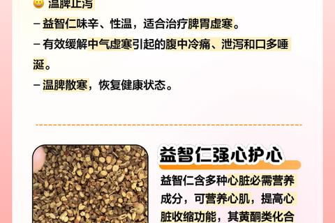 益智仁：温脾固精补肾壮阳_状元果健脑益智佳品