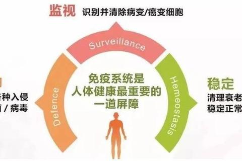 保健品科学选择指南：天然成分与免疫力提升全解析