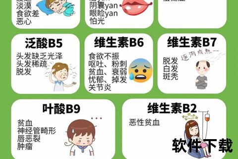 维生素B与B6：健康功效及科学解析
