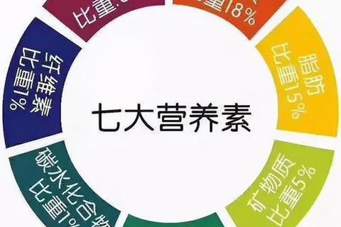 多维生素_关键营养全面补充-助力健康活力生活