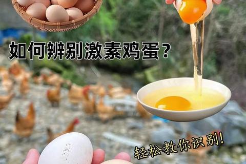 消炎药与鸡蛋能否同吃_科学解析安全食用真相