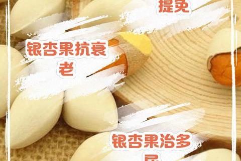 银杏胶囊核心功效解析：改善循环_增强记忆_抗氧化作用详解