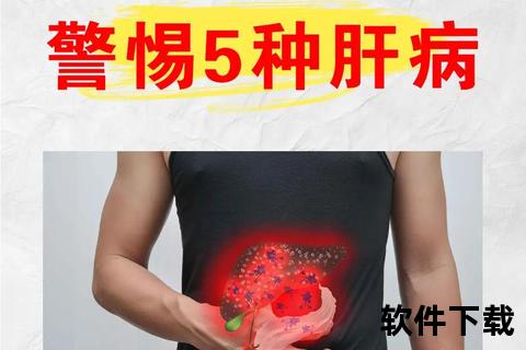 肝病哪里疼_肝脏不适的疼痛位置与症状表现详解