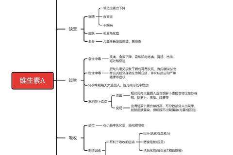 维生素A功效与作用详解：护眼健康_免疫增强_细胞保护