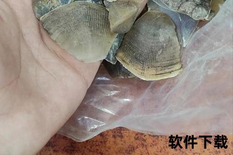甲珠功效解析：活血散结_通经下乳作用及临床应用