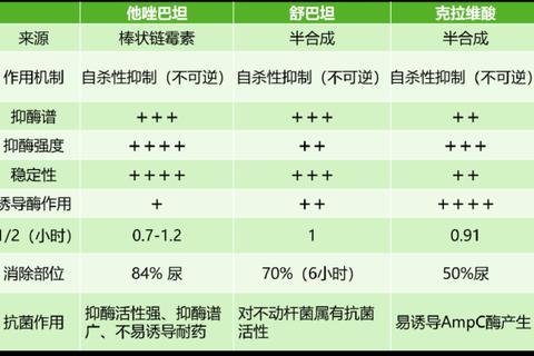 阿莫西林与头孢消炎效果对比:抗菌谱及适用场景解析