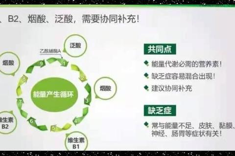 维生素B5的核心功能解析：代谢支持_皮肤健康与能量生成作用