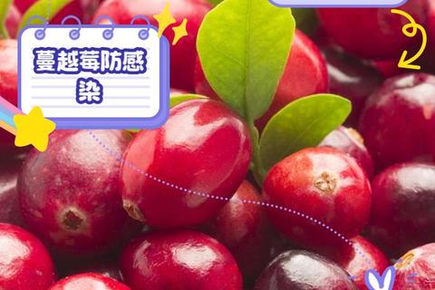 蔓越莓浓缩片核心功效解析-抗氧化与泌尿健康双重守护作用