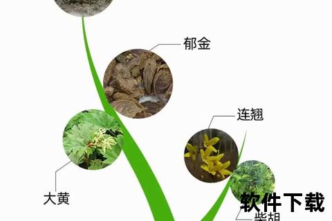 胆病用药探析：中药疏肝利胆机制与临床实践