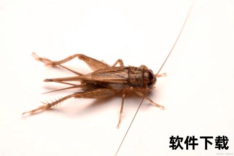 蟋蟀功效解析：药用价值_生态作用及健康应用探秘