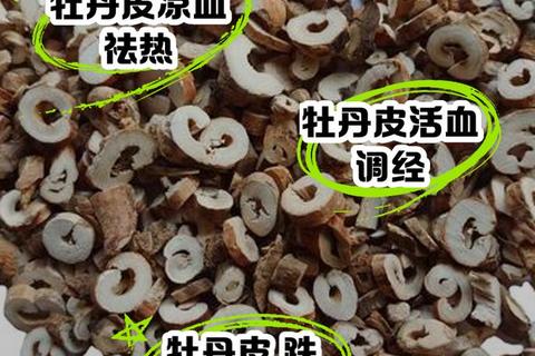 丹皮功效与作用解析：清热凉血_活血化瘀_抗菌消炎功效详解