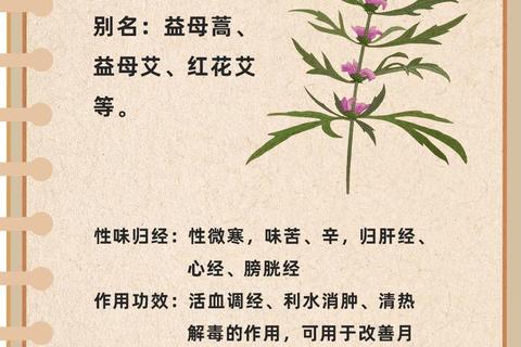 复方益母草胶囊：调经止痛_活血化瘀_改善循环三重功效解析