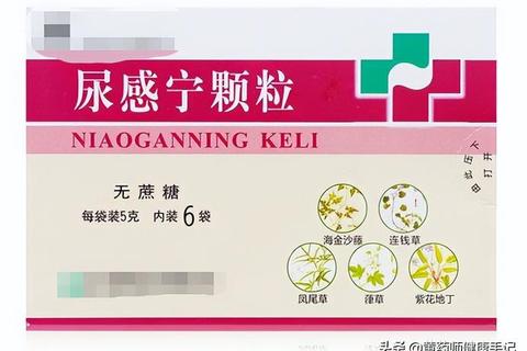尿道感染消炎药选择指南-常用药物与用药建议