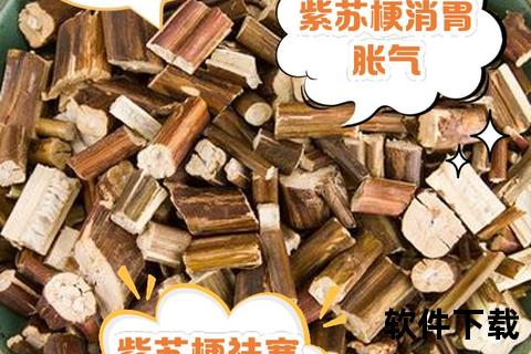苏梗功效与作用详解-行气宽中_解表散寒的草药应用 苏梗功效与作用详解-行气宽中_解表散寒的草药应用