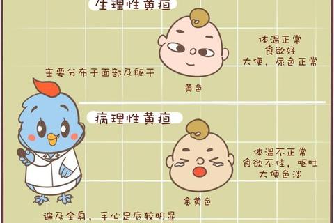 新生儿眼白发黄：黄疸症状解析与科学应对